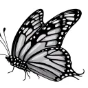 butterfly flying tattoo design idea