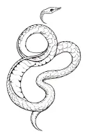 skeleton snake tattoo tattoo design idea