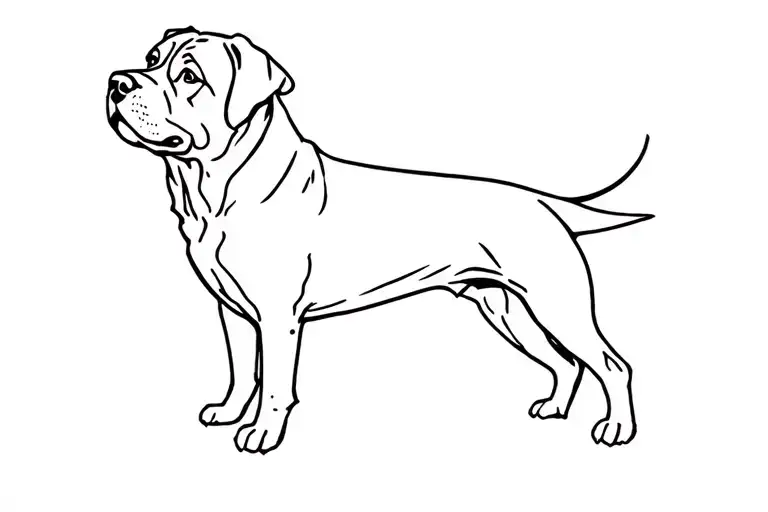 Rottweiler Dog tattoo design idea