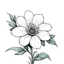 Flower jonquil tattoo design idea