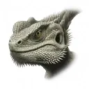 bearded dragon tattoo design idea