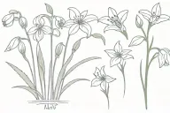 simple Snowdrop, Violet, Daffodil, Daisy, Lily of the Valley, Honeysuckle, Cosmos bouquet tattoo design idea