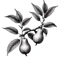 pear tree branch tattoo design idea