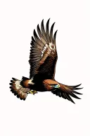 red tail hawk flying towards tattoo design idea
