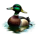 mallard duck sitting on lake tattoo design idea