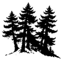 cypress tree tattoo design idea