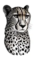 Cheetah Face tattoo design idea