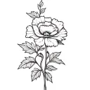 fineline carnation flower with ivy leaves intertwined tattoo design idea