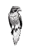 realistic red tailed hawk soaring tattoo design idea