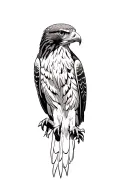realistic red tailed hawk soaring tattoo design idea