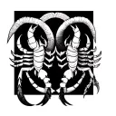 capricorn and scorpio zodiac sign tattoo design idea