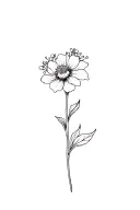 fine line hawthorn flower in black and white tattoo design idea