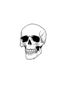 Without shadow effect it is to put on the between the pectorals a skull with an olroge on the skull below tattoo design idea