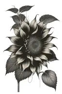 A sunflower separated by a thin line, on one side of the line raindrops on the sunflower and on the other dry tattoo design idea