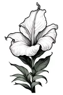Peace Lily tattoo design idea