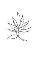 simple line cursive agave into a minimalist bouque at the top on my spine tattoo design idea