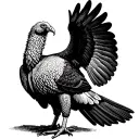 turkey vulture standing with wings spread out facing forward tattoo design idea