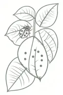 ladybug and a coconut    tattoo design idea