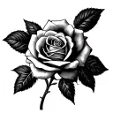 Roman Numeral 4 roses tattoo design idea