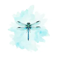Dragonfly tattoo design idea