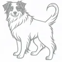 Dog border collie tattoo design idea