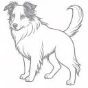 Dog border collie tattoo design idea