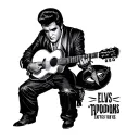 Elvis stitch tattoo design idea