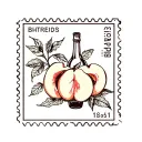 fine line square postage stamp with peach and wine bottle cork  tattoo design idea