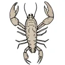 Tasmanian crayfish outline tattoo design idea