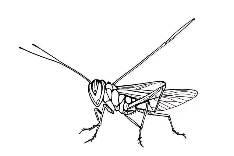 grasshopper perched tattoo design idea