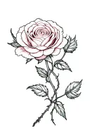 rose and carnation with twisted stems representing my sons tattoo design idea