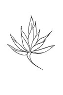 simple line cursive agave into a minimalist bouque at the top on my spine tattoo design idea