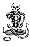 snake skeleton sitting tattoo design idea