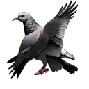 2 Doves tattoo design idea