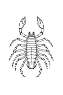 Scorpio Glasgow 1974 tattoo design idea