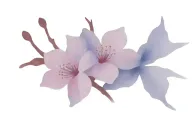 cherry blossom with breast cancer ribbon intertwined tattoo design idea