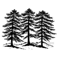 pine trees black and white white background, not a lot of black tattoo design idea