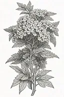 yarrow tattoo design idea