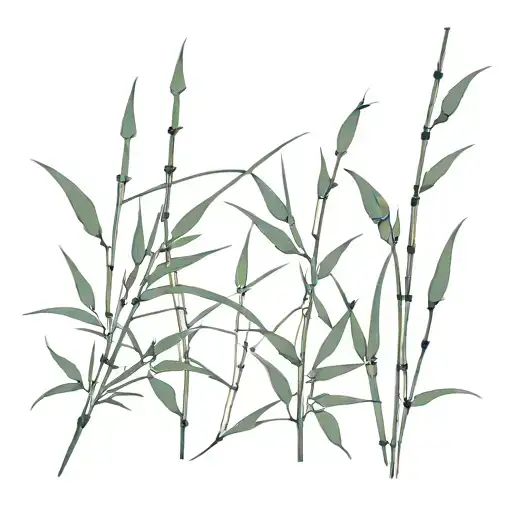 bamboo leaves sugarcane shoot North direction representing tattoo design idea