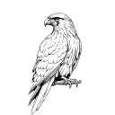 hawk perched tattoo design idea