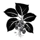 Bean Sprout tattoo design idea