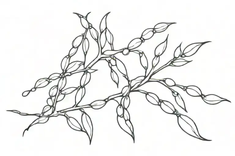  Basic black and white sea beans tattoo design idea