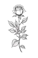 Rose tattoo design idea