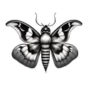 moth tattoo traditional style fine lines tattoo design idea