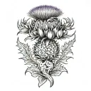 Scottish thistle  tattoo design idea