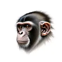 Face monkeys tattoo design idea