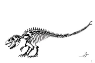 Dinosaur skeleton with nordic paterns tattoo design idea
