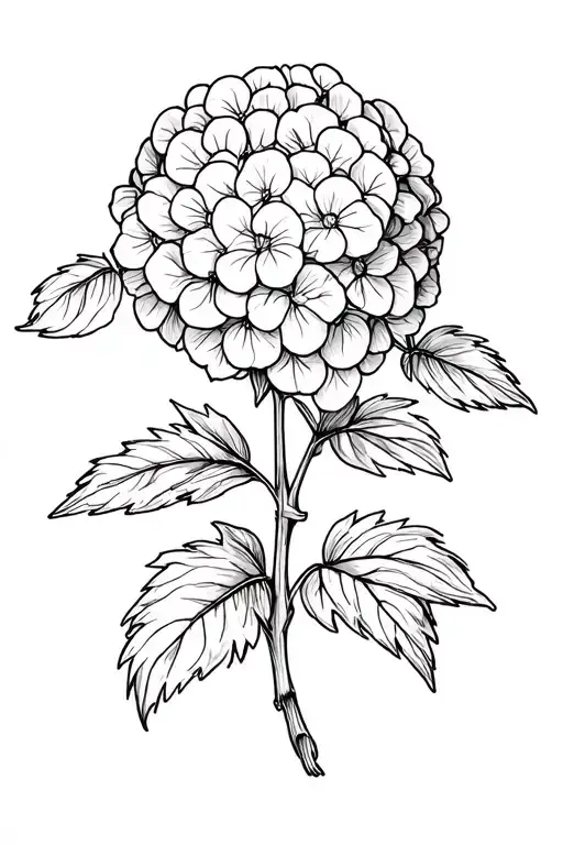 hydrangea tattoo design idea