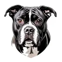 American pit bull tattoo design idea
