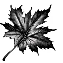 Autumn Leaf tattoo design idea